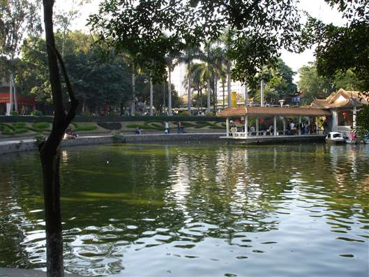 Click for large image