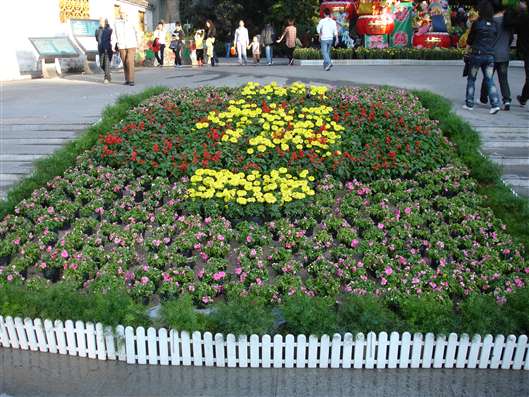 Click for large image