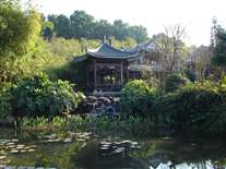 Click for large image