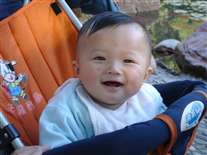 Click for large image