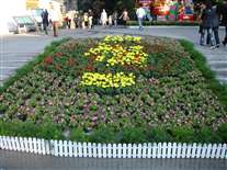 Click for large image