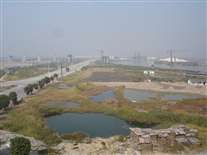 Click for large image